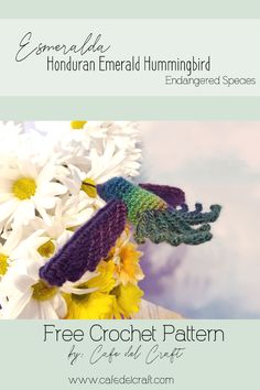 a crocheted hummingbird sitting on top of white and yellow flowers with the words free crochet pattern below it