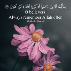 two pink flowers with an islamic quote on the bottom right hand corner that reads, o believeers always remember aliah often