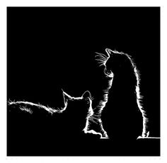 a black and white drawing of a cat with its paw on a dog's head