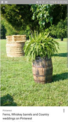 two large planters sitting on top of a lush green field