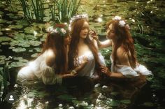 three beautiful women sitting in the water surrounded by lily pads and greenery, all looking at each other