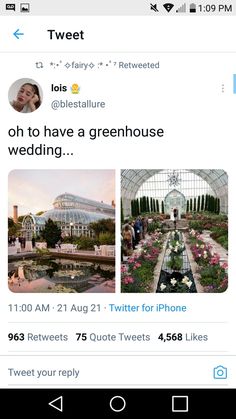 tweet for instagram screenshots on the iphone or ipad, with an image of greenhouse and flowers