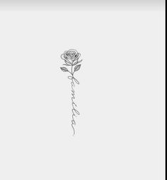 a single rose on a white background with the word love written in cursive writing