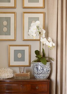 a vase with white flowers sitting on top of a table next to pictures and books