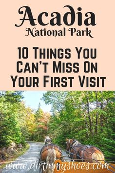 two horses pulling a carriage down a road with the words acadi national park 10 things you can't miss on your first visit