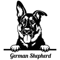 a german shepherd dog with his tongue sticking out from behind a sign that says german shepherd