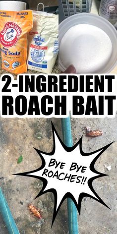 there are two different images with the words, 2 ingredient roach bat and 3 ingredients