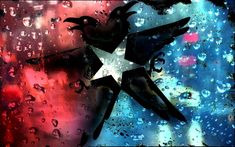 an image of a star and two birds in the rain