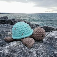 a crocheted turtle sitting on top of a rock next to the ocean,