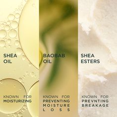 Dry hair has no place here 🙅‍♀️ Meet a couple of our favorite #RealIngredients, Shea & Baobab, both known for moisturizing dry hair AND dry scalp! 💚🌿✨  Try Shea Oil In: 🌰 Lock & Seal Anti-breakage Oil   Try Baobab Oil In: 🌳 H.A.P.I. Shampoo 🌳 Untangled Conditioner 🌳 Dew Magic Leave-in 🌳 Plant Power Repair Mask 🌳 Curl Elixir Conditioning & Refresher Spray  🌳 Daily Elixir Oil 🌳 Lock & SealAnti-breakage Oil   Try Shea Esters In: ✨ Lock & SealAnti-breakage Oil Beauty Brand Ideas, Products For Hair, Moisturize Dry Hair, Trippy Designs, Baobab Oil, Retro Graphic Design, Issa Rae, Repair Mask