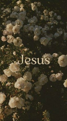 the words jesus surrounded by white flowers