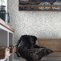 a dog is sitting on a wicker chair in front of a wall with plates