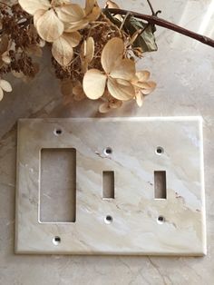 a marble light switch plate with two plates on it next to some flowers and leaves