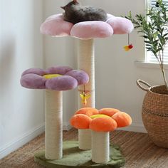 a cat is sleeping on top of the cat tree in the living room with other toys