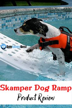 a dog in an orange life jacket standing on a ramp next to a swimming pool