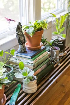 a table topped with lots of books and potted plants next to a window sill