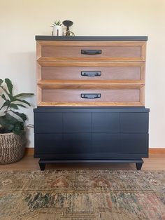 a black dresser sitting on top of a wooden floor next to a potted plant