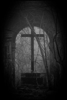 an old building with a cross in the middle of it surrounded by trees and branches