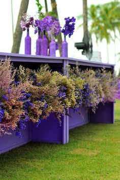 purple vases filled with lavender flowers are lined up on the side of a bench