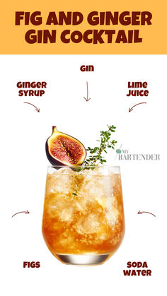 Fig and Ginger Gin Cocktail Fig Sour Cocktail, Fig Vodka Cocktail Recipes, Sweet Gin Cocktail Recipes, Fig Gin Cocktail, Gin Ginger Beer Cocktail, Ginger Syrup