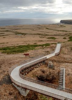 a wooden walkway in the middle of an open field