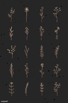 a bunch of flowers that are drawn in gold ink on a black background with the words,