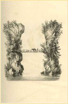 an old drawing of two trees and a bridge