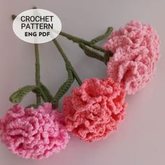 three crochet flowers are shown in pink, red and green colors with the words crochet pattern engg pdf above them