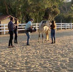 several people standing around a horse in an enclosed area