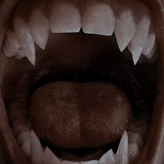 the mouth of an animal with sharp teeth