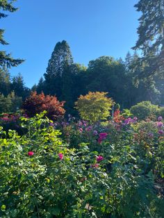 the garden is full of colorful flowers and trees