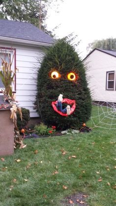 a house with a fake face in the front yard