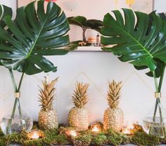 there are pineapples on the mantle with candles in front of them and some green leaves