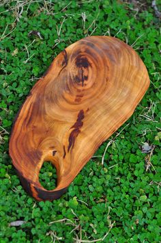 a piece of wood sitting on top of green grass