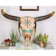 an animal skull with long horns on a table next to succulents and cacti