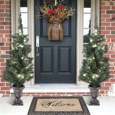 two potted plants on either side of the front door with welcome mat and lights