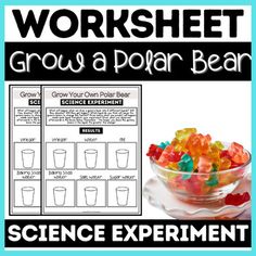 the science experiment worksheet is shown with gummy bears in a glass bowl