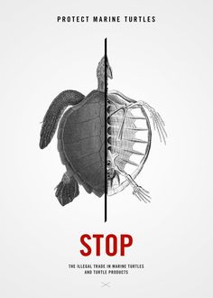 a turtle is shown with the words stop and protect marine turtles