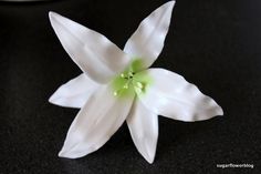 a white flower is sitting on a black surface