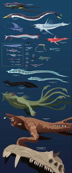 an image of different types of fish in the ocean