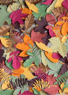 an image of colorful leaves on the ground