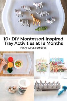 Montessori Tray Ideas, Tray Activities For Toddlers, Montessori Activities 24-36 Months, Diy Montessori Toys Dollar Tree, Montessori Activity Trays, Montessori Activities 10 Months, Montessori 24 Months, Dollar Tree Montessori Activities, Montessori Activities 16 Months