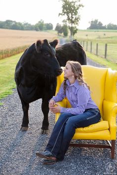 a woman sitting on a yellow chair next to a cow