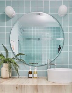 a bathroom with a sink, mirror and plants on the counter in front of it