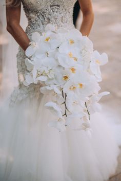 a bride holding a bouquet of white flowers