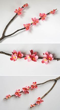 three different pictures of pink flowers on branches