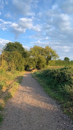 a dirt road with trees and bushes on both sides under a blue sky filled with clouds