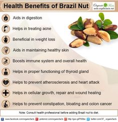 Health and benefits of Brazil nut Fertility Help, Coconut Health Benefits, Help Digestion, Digestion Process, Improve Heart Health, Benefits Of Coconut Oil