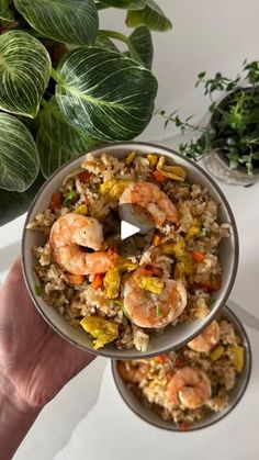 a person holding a bowl filled with rice and shrimp next to some potted plants