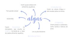 the words algas written in spanish are arranged into four different circles with arrows pointing to them